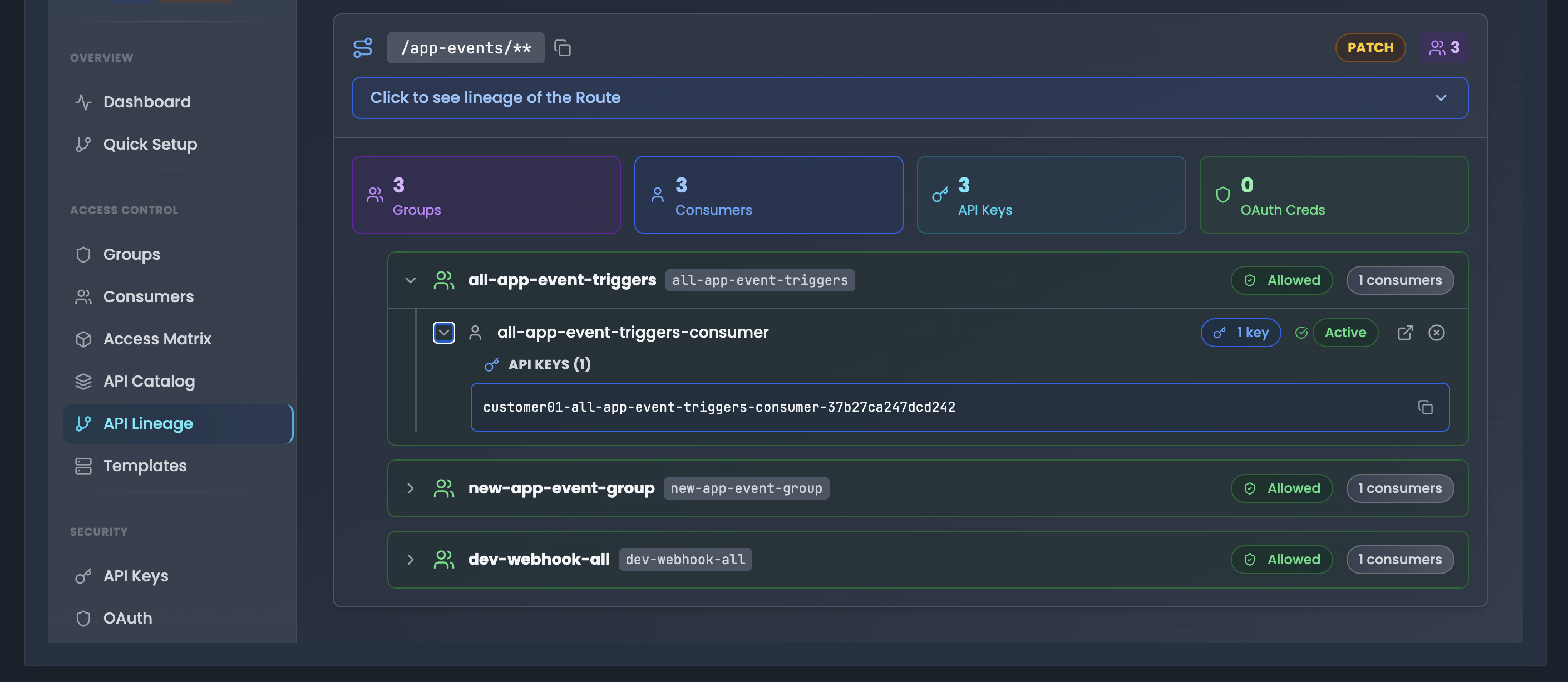API lineage visualization